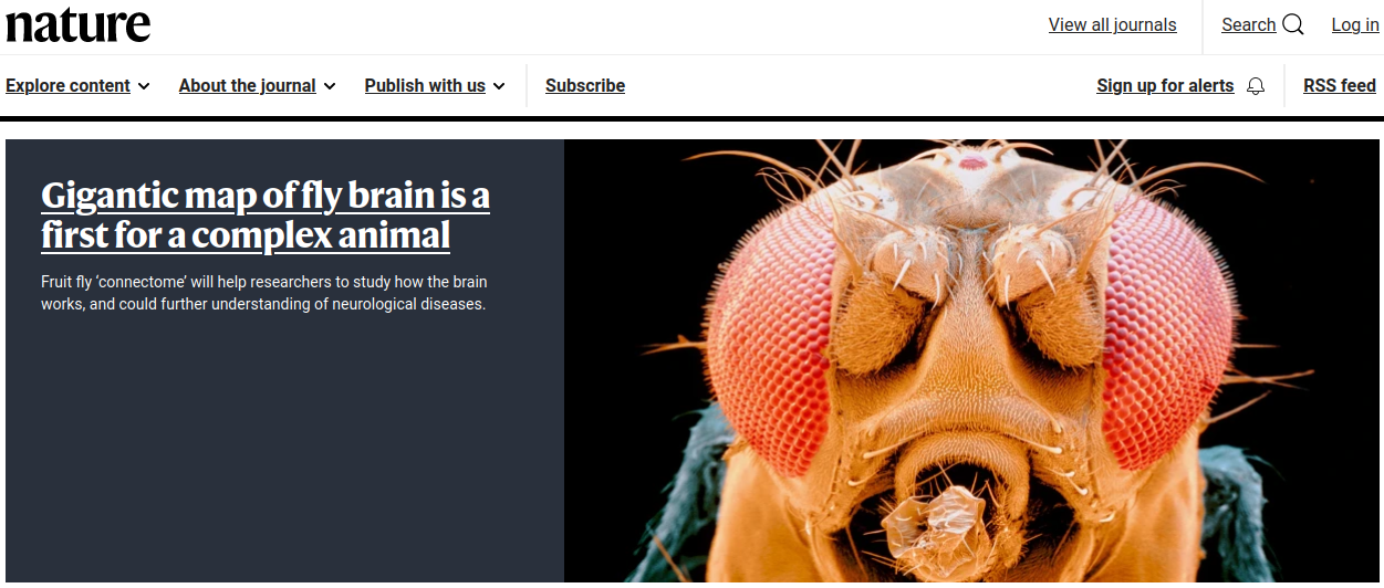 nature rss feed link